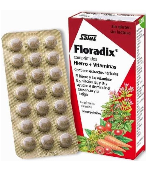 Floradix 84 comprimidos 