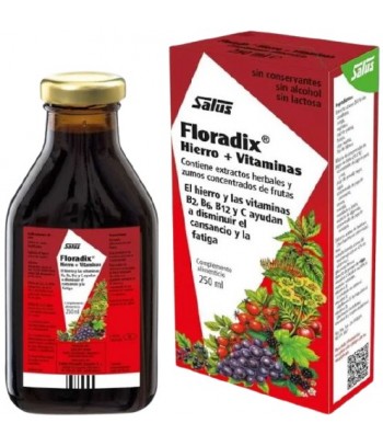 Floradix Elixir (Jarabe) 250 ml
