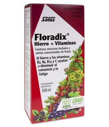 Floradix Elixir Jarabe 500 ml