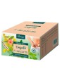 Kneipp DelgaTé Infusion 40 Bags of 1.5g