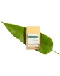 Klorane Solid Shampoo for Dry Hair with Mango 80g