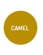 Farmalastic Panty Compresión Normal 140 DEN Color Camel Talla Grande