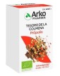 Arkocápsulas Propolis 84 cápsulas