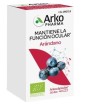 Arkocápsulas Arandano 50 cápsulas
