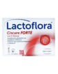 Lactoflora Ciscare Forte 10 Sobres