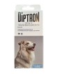 Diptron 100 mg/ml Spot-on Solution 1 Pipette 1