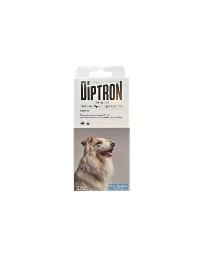 Diptron 100 mg/ml Spot-on Solution 1 Pipette 1