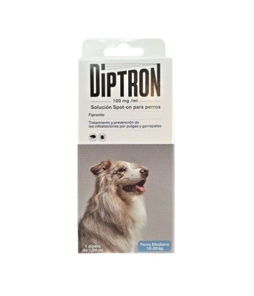 Diptron 100 mg/ml Spot-on Solution 1 Pipette 1