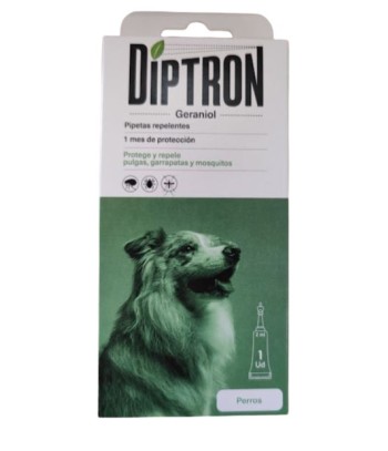 Diptron