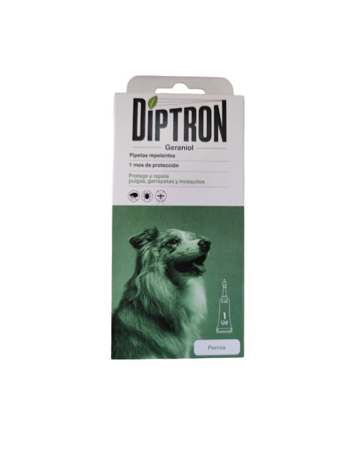 Diptron