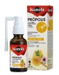 Buy JUANOLAS PROPOLIS MOUTH SPRAY 30 ml at Farmaten