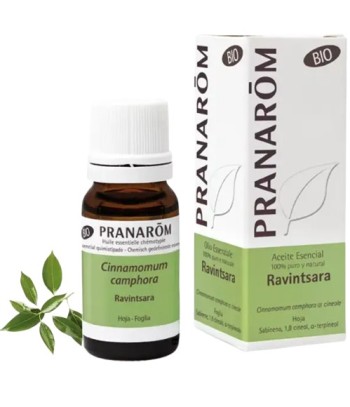 Pranarom Ravintsara Essential Oil 10 ml