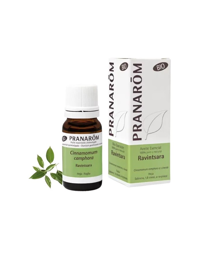 Pranarom Ravintsara Essential Oil 10 ml