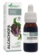 Soria Natural Alcachofa 50 ml