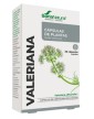 Soria Natural Valerian 30 capsules