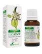 Soria Natural Orange Blossom Essential Oil 15 ml