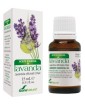 Soria Natural Lavender Essential Oil 15 ml