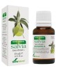 Soria Natural Aceite Esencial de Salvia 15 ml