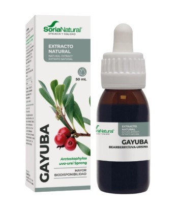 Soria Natural Bearberry Extract 50 ml