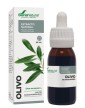 Soria Natural Olive Extract 50 ml