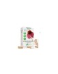 Soria Natural 16-S Echinacea 30 extended-release capsules