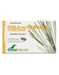 Soria Natural Horsetail 60 tablets