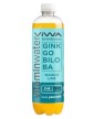 Viwa BrainBooster Mango & Lima &Lichi 600 ml