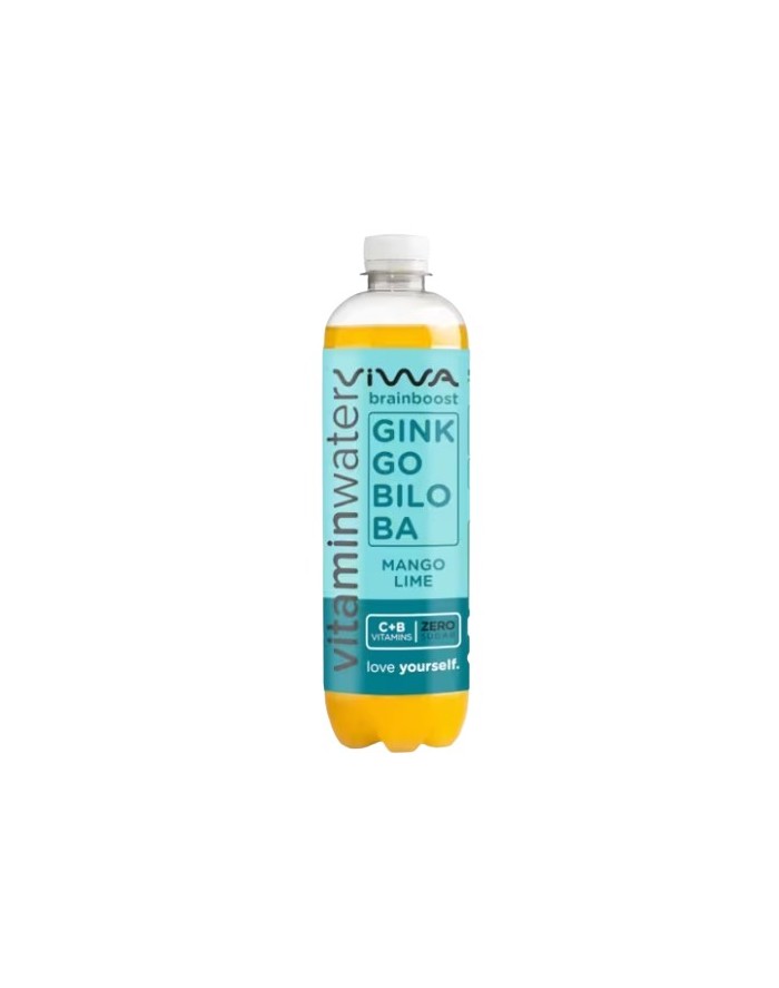 Viwa BrainBooster Mango & Lima &Lichi 600 ml