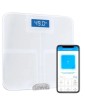 Buy Lifevit Loft Smart Scale with Bluetooth Connection at...