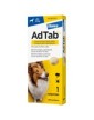 Adtab 900 mg Perros 22-45 kg 1 comprimido