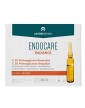 Endocare C20 Proteoglicanos 30 Ampollas