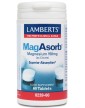 Lamberts Mag Absorb, 60 Tablets