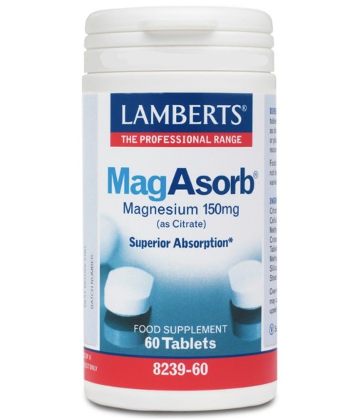 Lamberts Mag Absorb, 60 Tablets