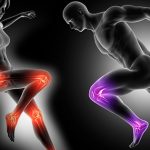 Crédito imagen kjpargeter / Freepik,